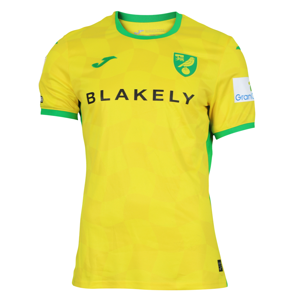 Joshua Sargent Norwich City forması