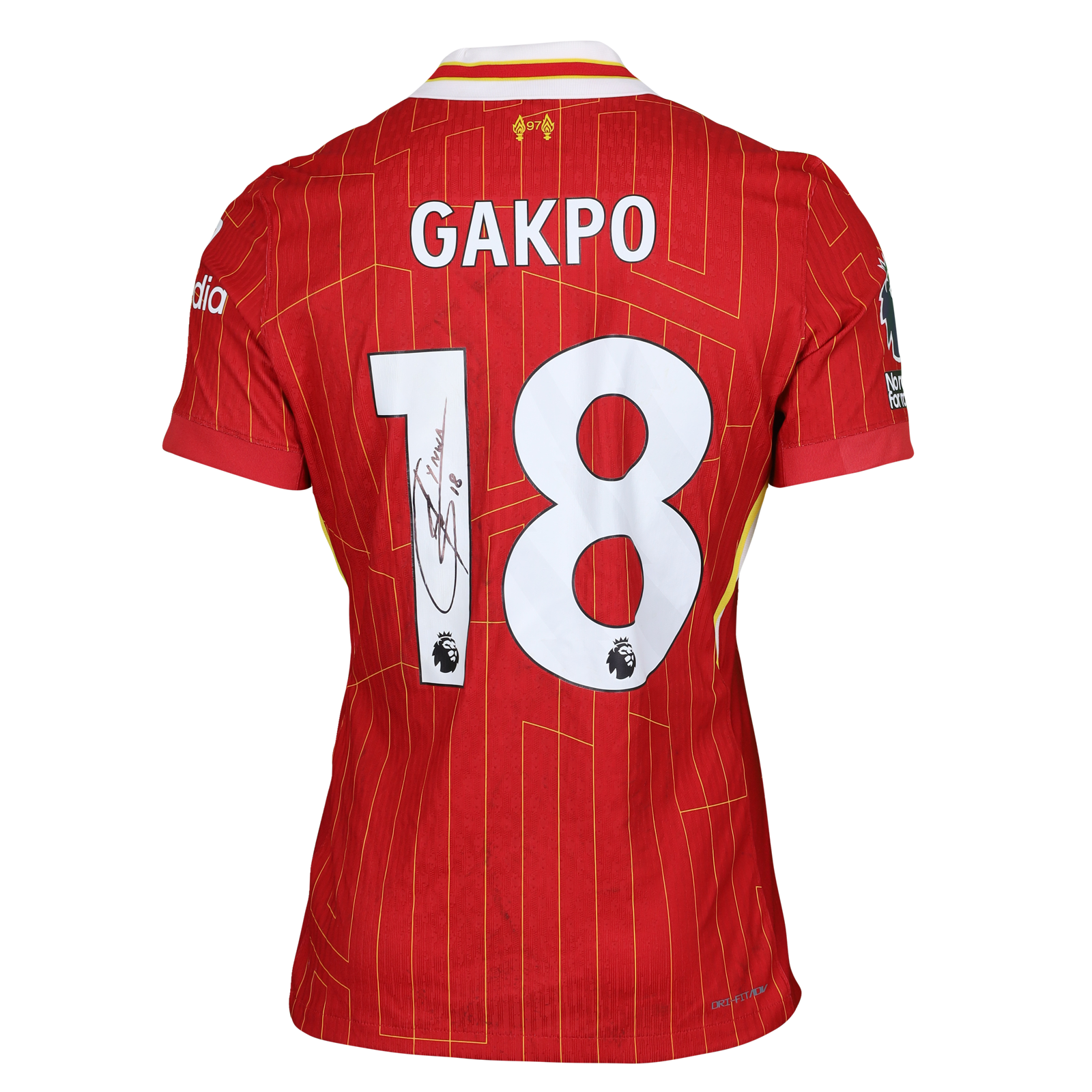 Cody Gakpo Liverpool shirt