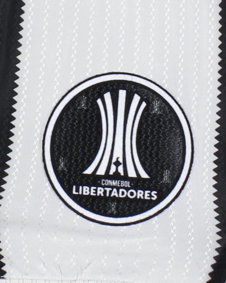 Artur Victor Guimarães Botafogo shirt