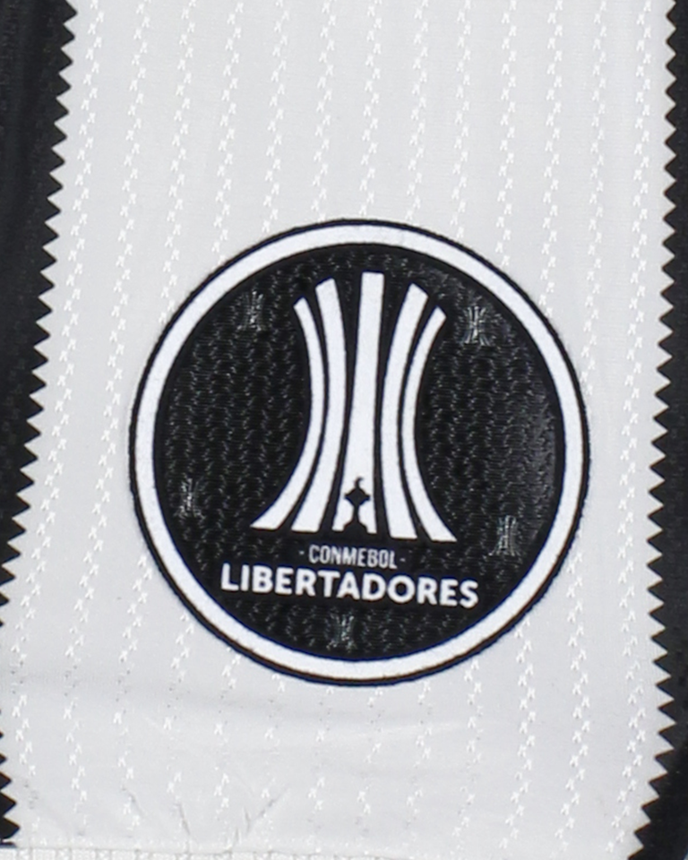 Santiago Mariano Rodríguez Molina Botafogo shirt