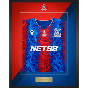 Limited Edition Framed Squad Signed Shirt - 2