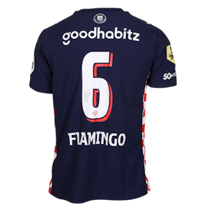 Ryan Flamingo PSV shirt