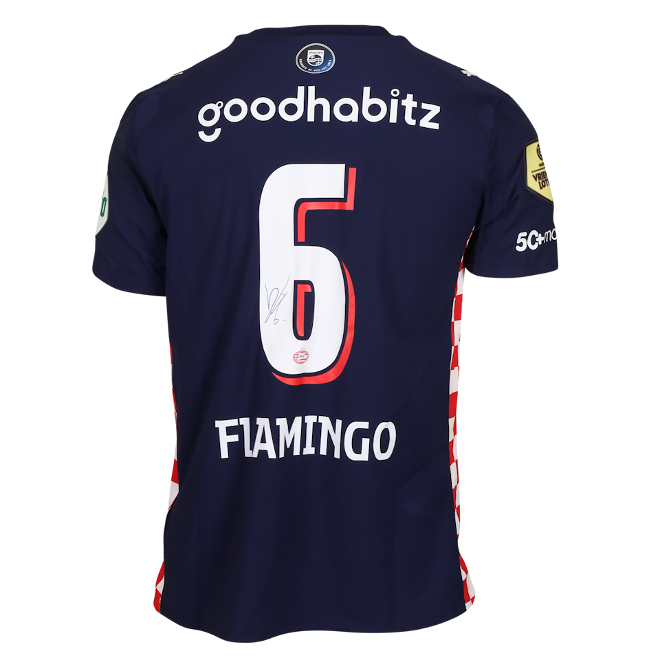 Ryan Flamingo PSV shirt