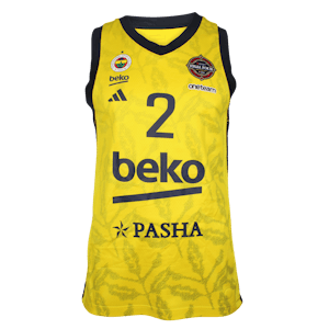 Wade Baldwin IV