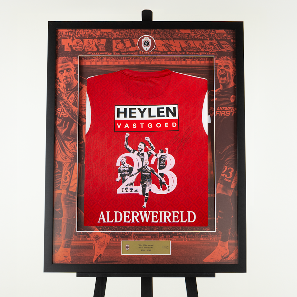 Toby Alderweireld Retirement Frame -2