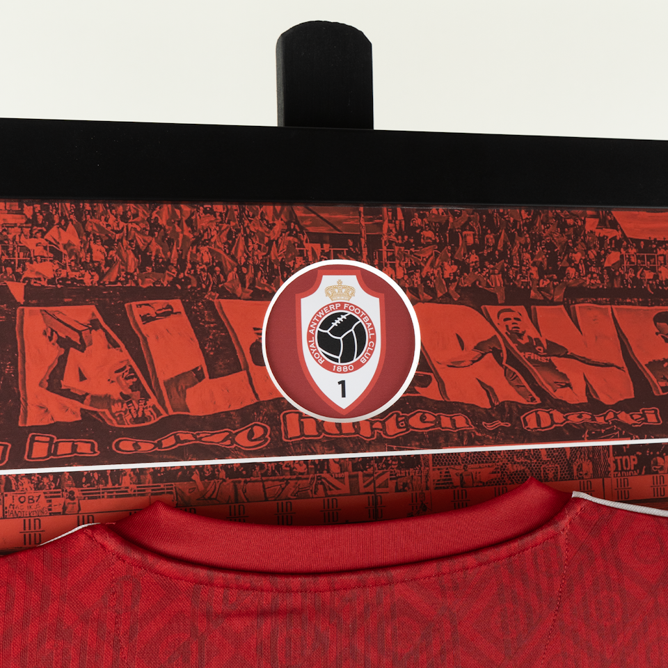 Toby Alderweireld Retirement Frame -2