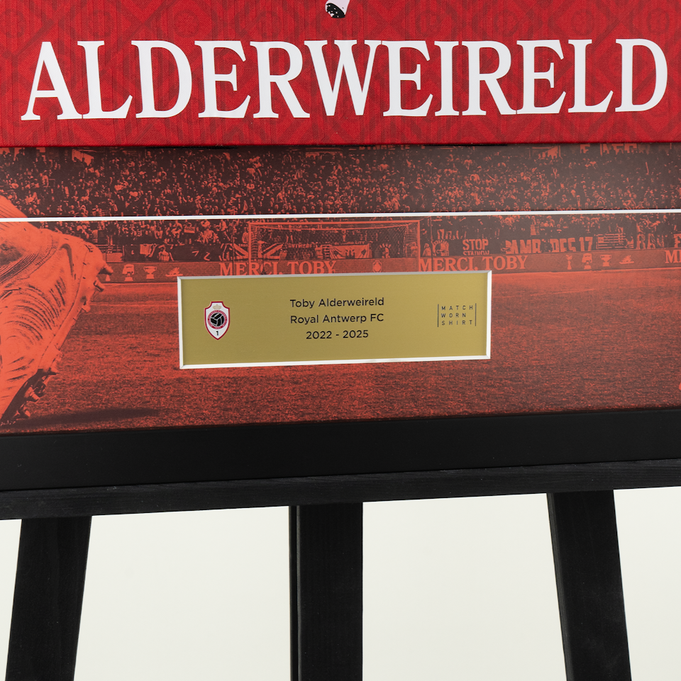 Toby Alderweireld Retirement Frame -2