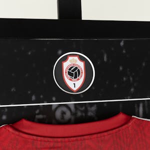 Toby Alderweireld | Retirement Frame -1
