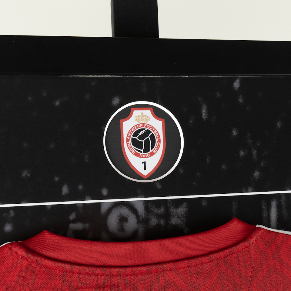 Toby Alderweireld | Retirement Frame -1
