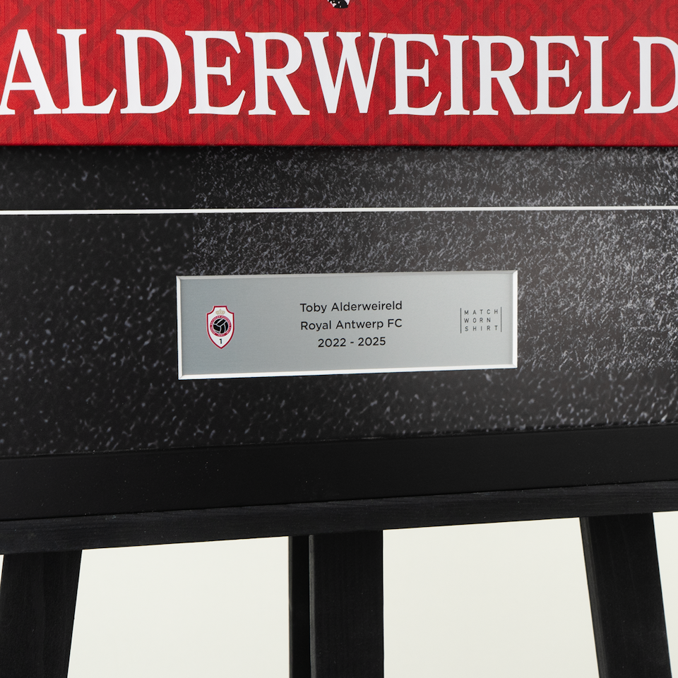 Toby Alderweireld | Retirement Frame -1