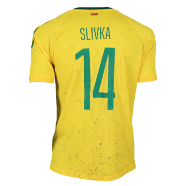 Vykintas Slivka Lithuania forması