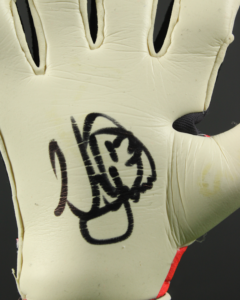 Ørjan Nyland I Gloves