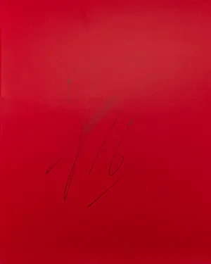 Joel Drommel | Seat & Locker