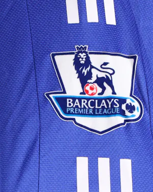 Didier Drogba | Chelsea - 2008/09 - Premier League