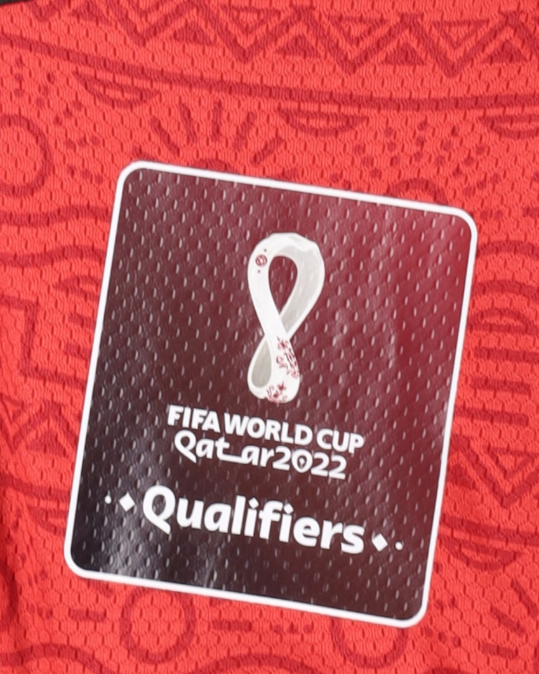 Mohamed Salah | Egypt - World Cup 2022 Qualifiers