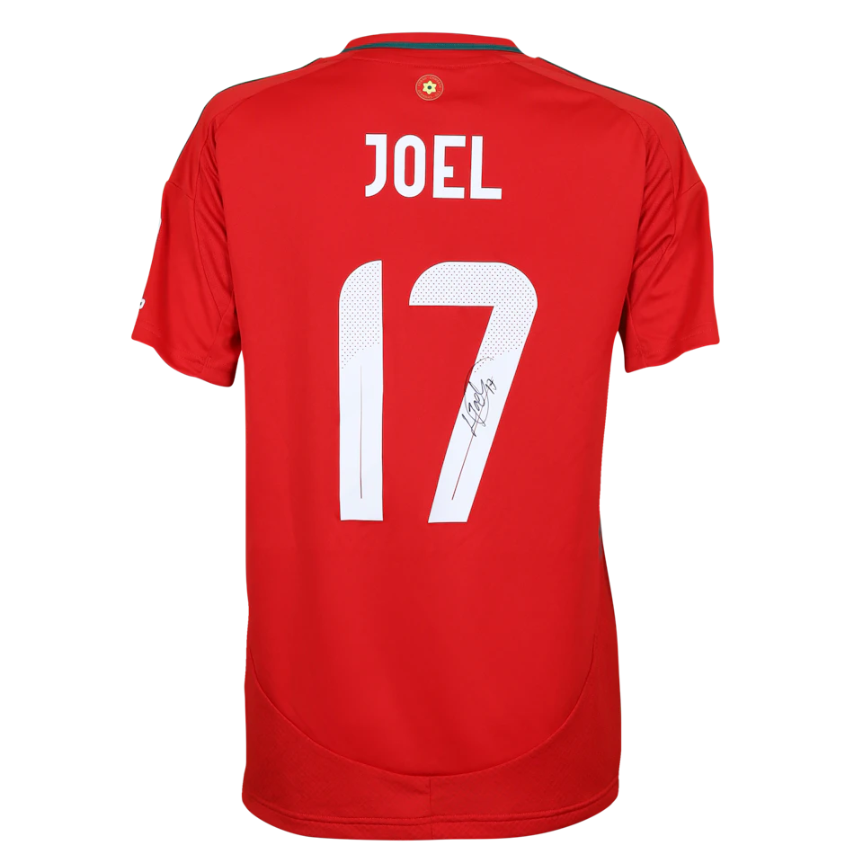 来自Wales W的Lois Joel球衣