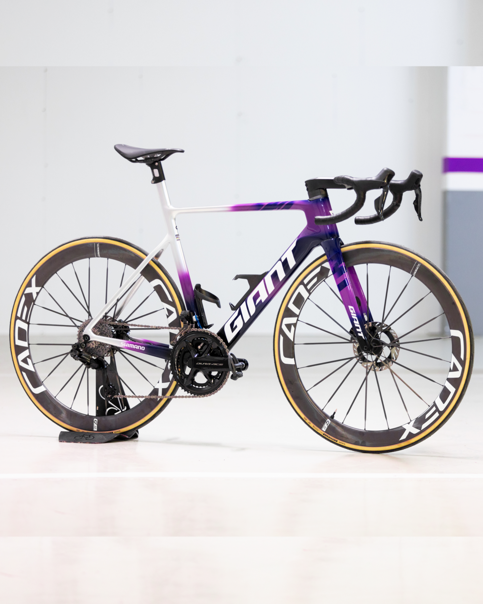 Team Jayco AlUla Cycling Camp & Race Bike