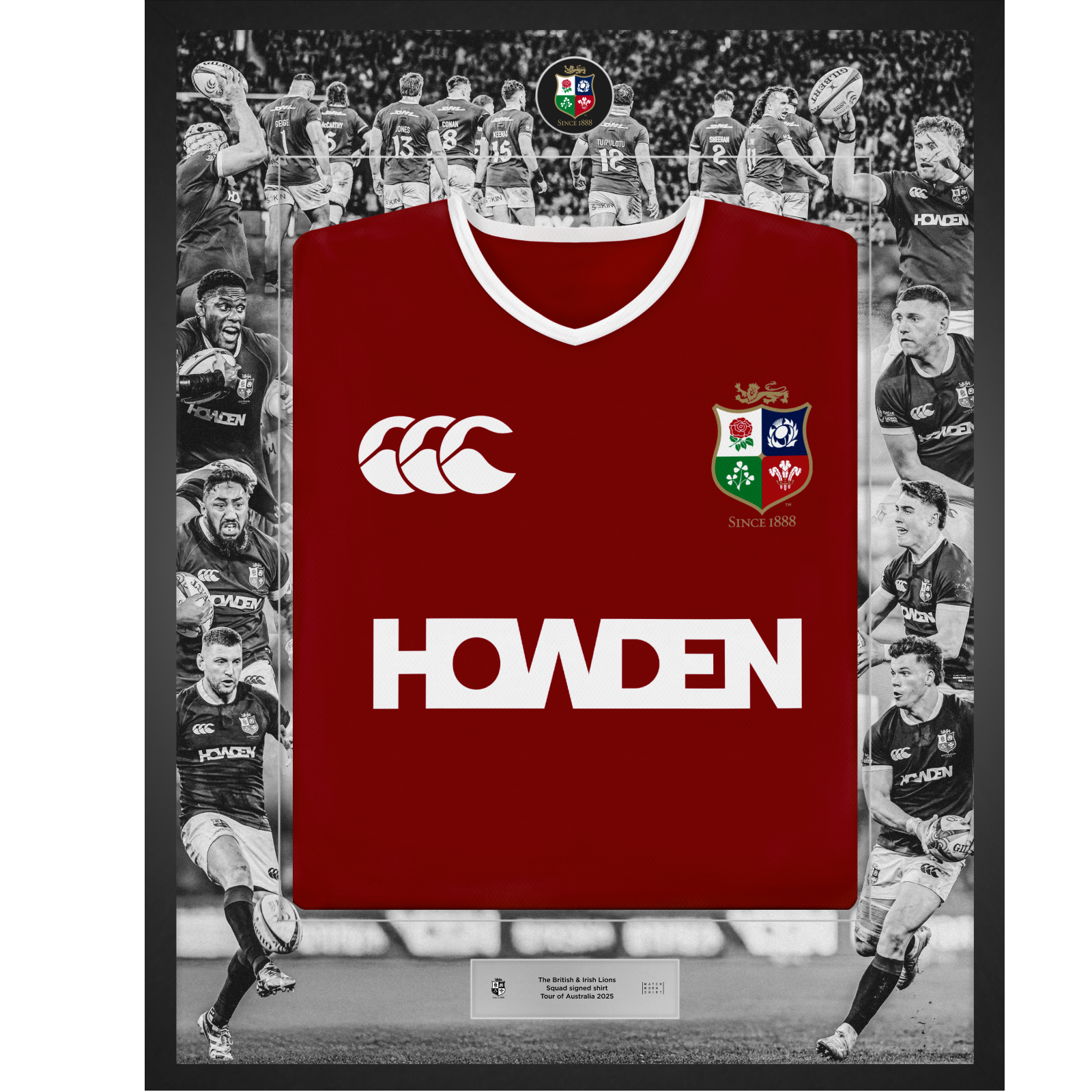 The British & Irish Lions | MWS