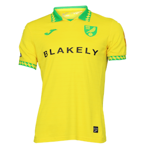 Camiseta Kellen Fisher Norwich City
