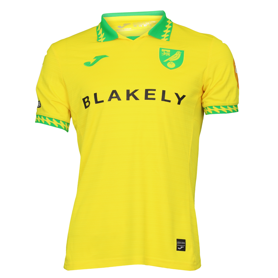 Camiseta Kellen Fisher Norwich City
