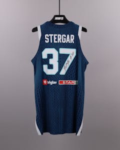 Leon Stergar