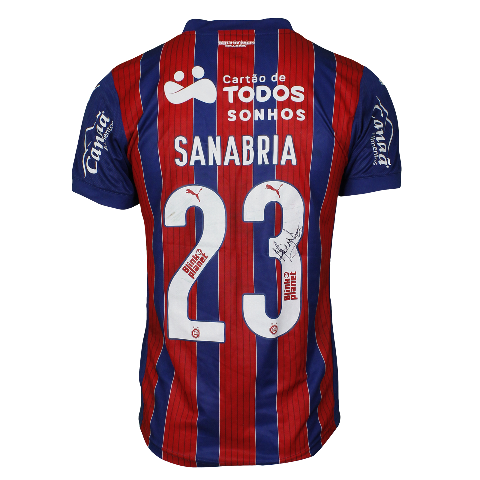Mateo Sanabria | Bahia - Palmeiras | MatchWornShirt