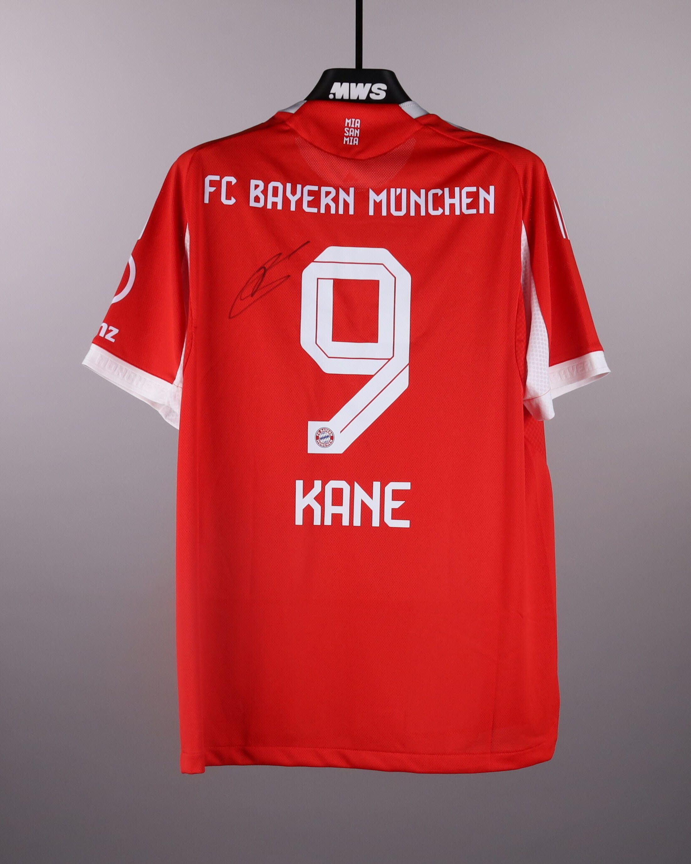 Harry Kane | MatchWornShirt