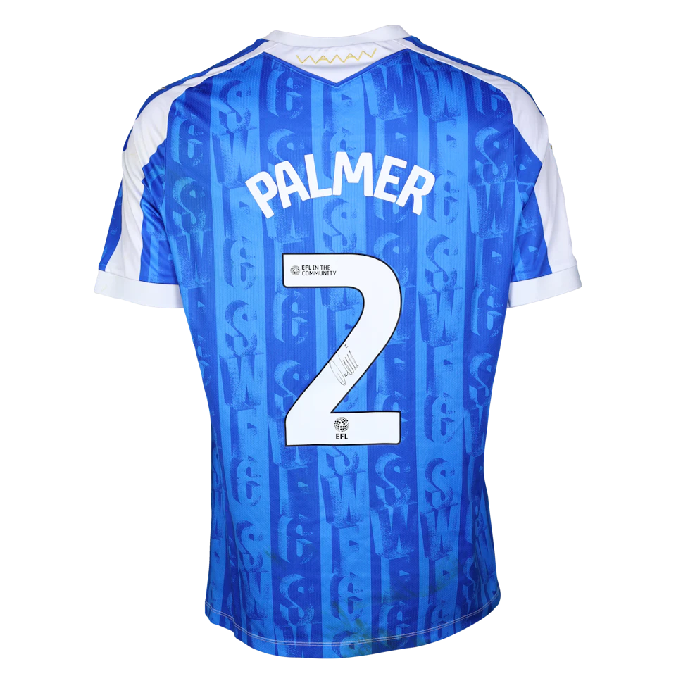 来自Sheffield Wednesday的Liam Palmer球衣