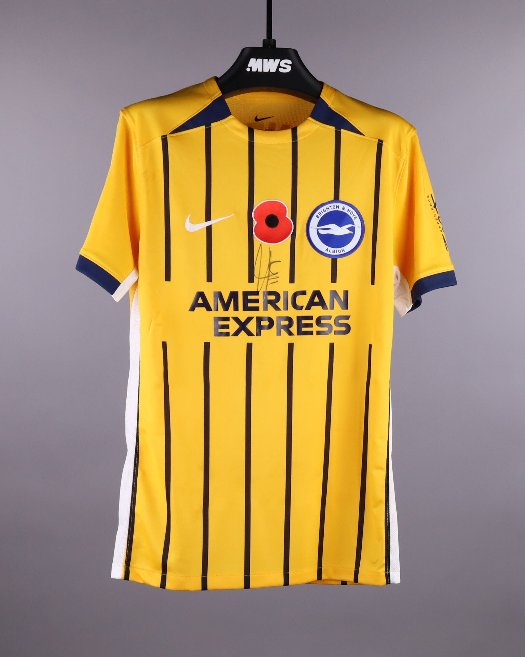 Official Brighton & Hove Albion Soccer Game-Worn Jerseys Auctions