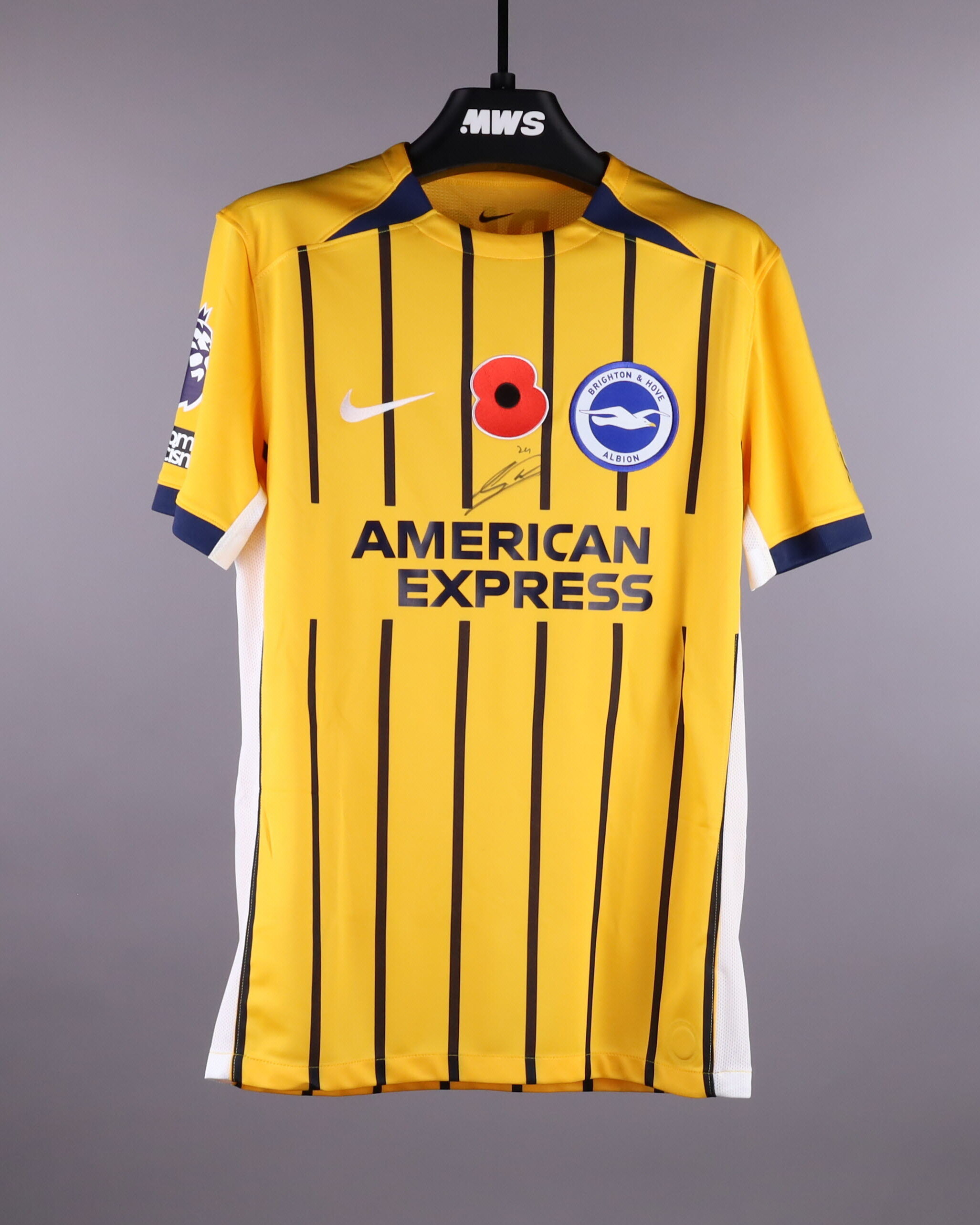 Official Brighton & Hove Albion Soccer Game-Worn Jerseys Auctions
