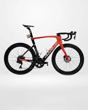 Josh Tarling | Pinarello Dogma F