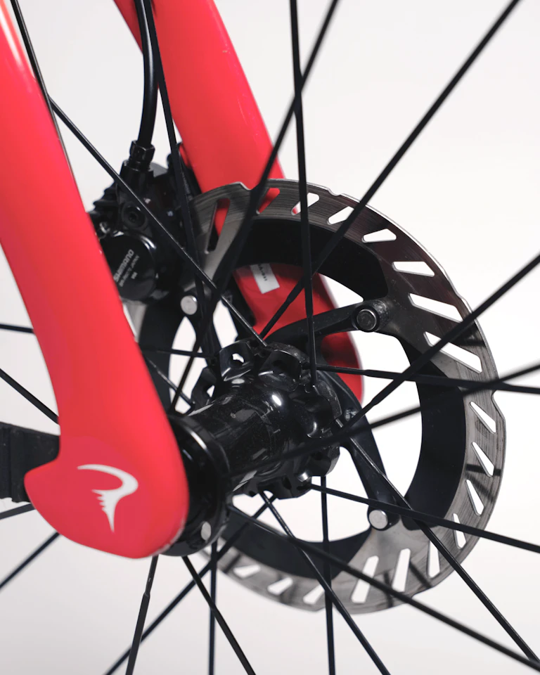 Josh Tarling | Pinarello Dogma F