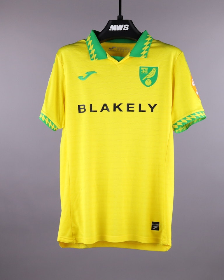 Mirko Topić Norwich City shirt