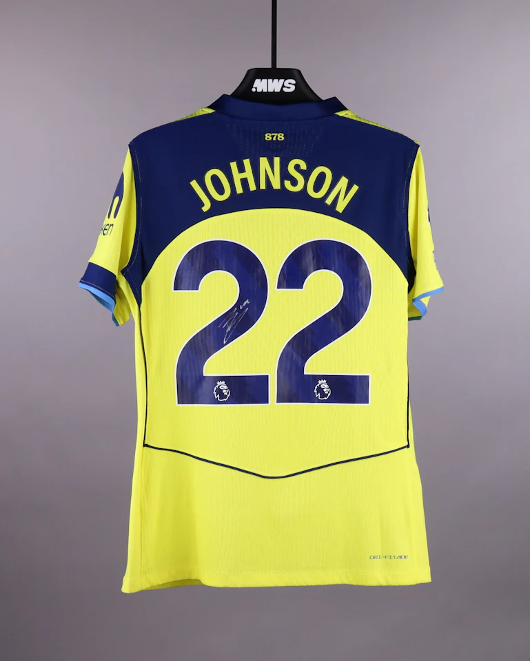 Brennan Johnson Tottenham Hotspur jersey