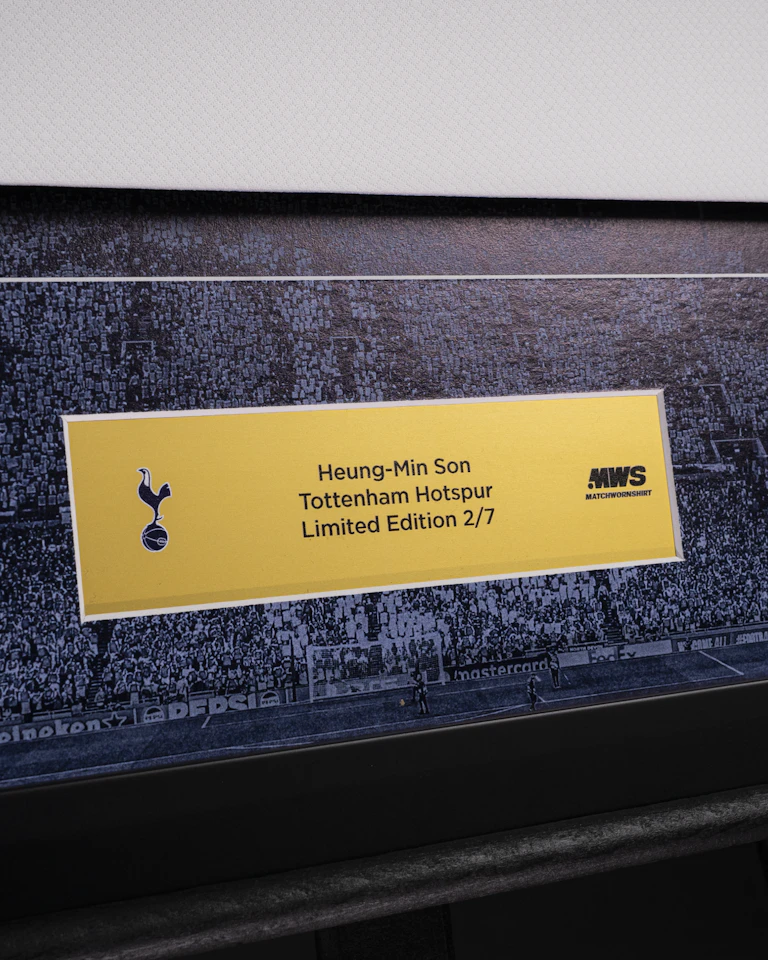 Limited Edition Framed Shirt - 2