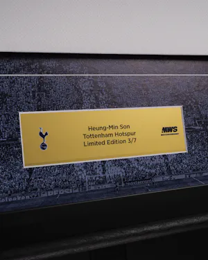 Limited Edition Framed Shirt - 3