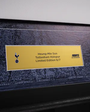 Limited Edition Framed Shirt - 6