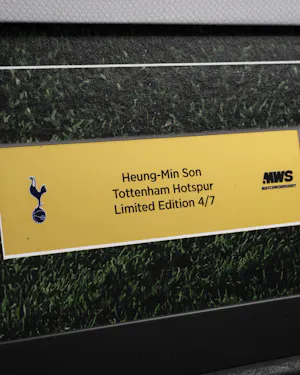 Limited Edition Framed Shirt - 4