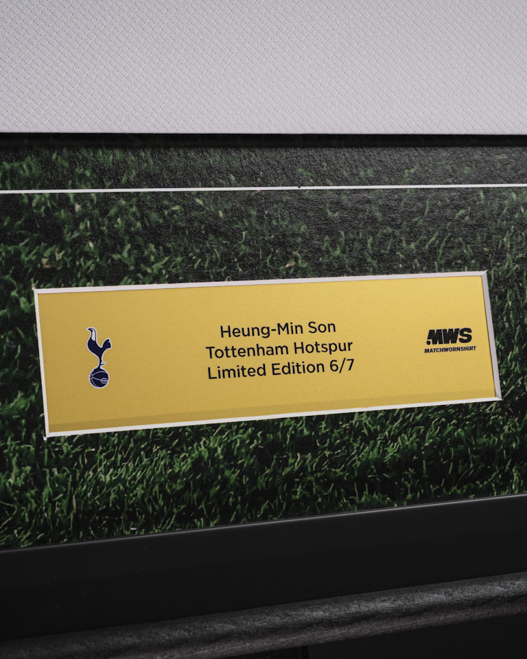 Limited Edition Framed Shirt - 6