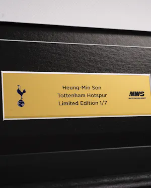 Limited Edition Framed Shirt - 1