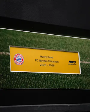 Harry Kane | Limited Edition Framed Signed Third Shirt