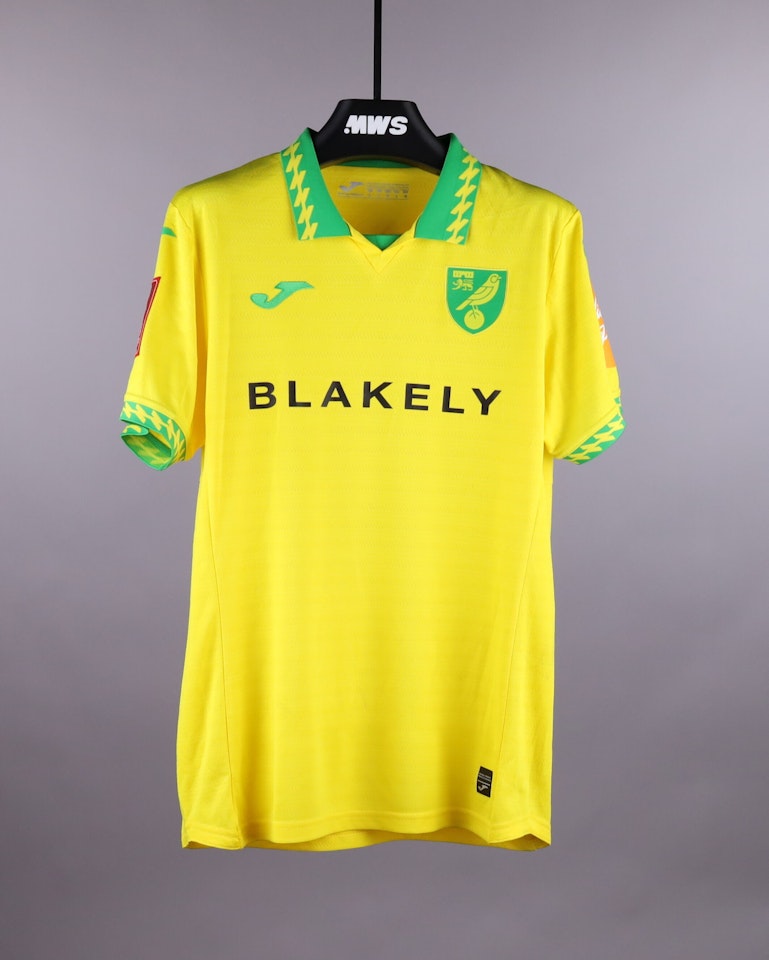 Harry Darling Norwich City shirt