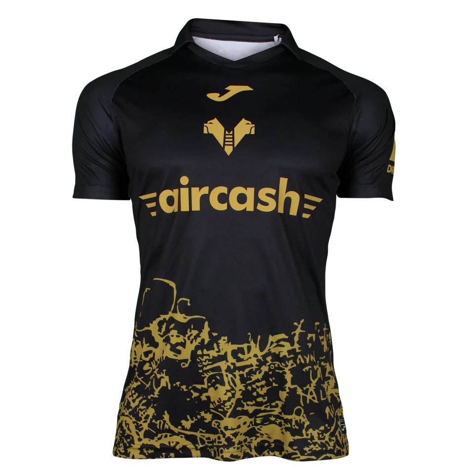 来自Hellas Verona FC的Domagoj Bradarić球衣