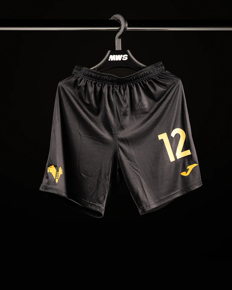 来自Hellas Verona FC的Domagoj Bradarić球衣