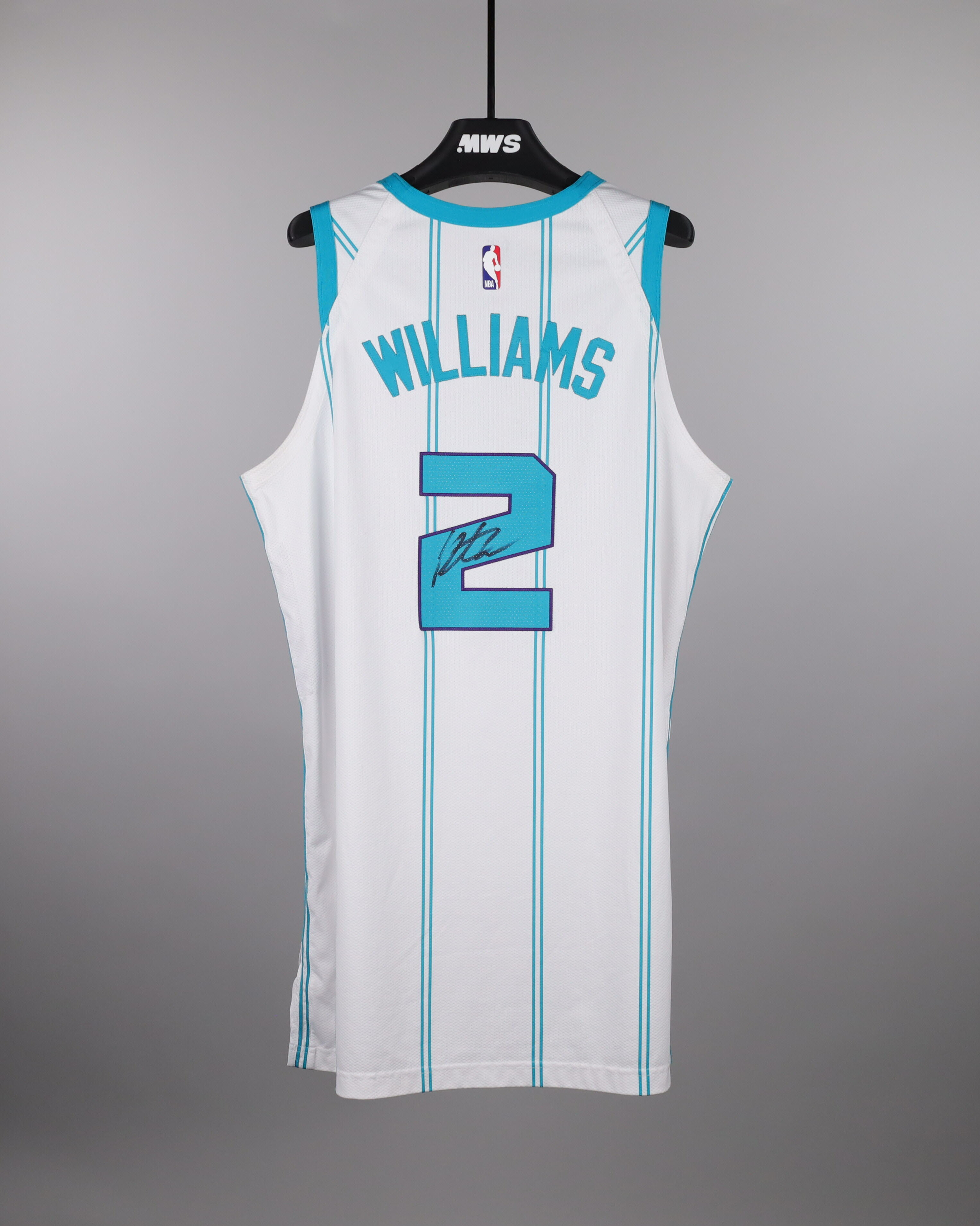 charlotte hornets ball jersey