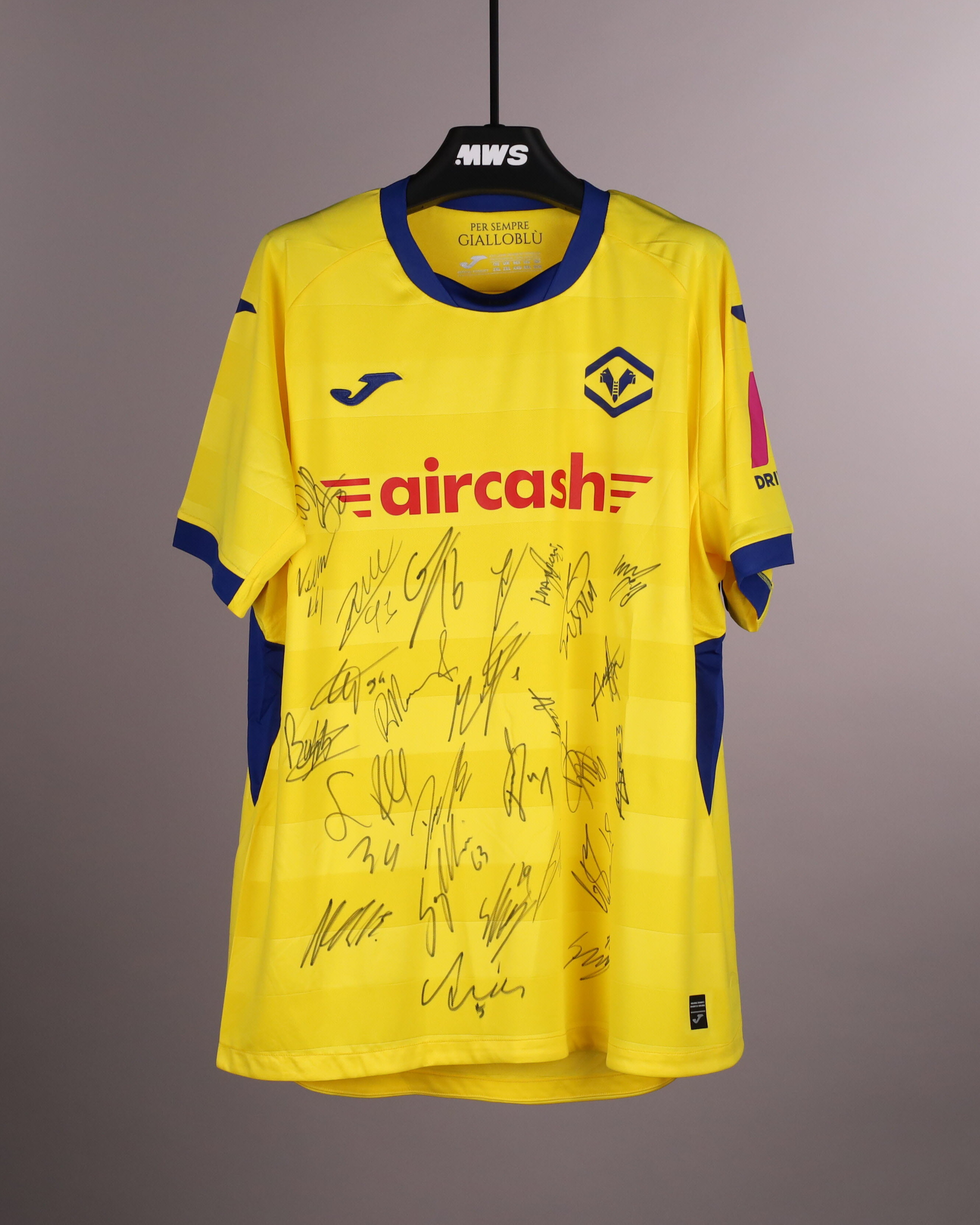 Official Hellas Verona FC Soccer Game-Worn Jerseys Auctions