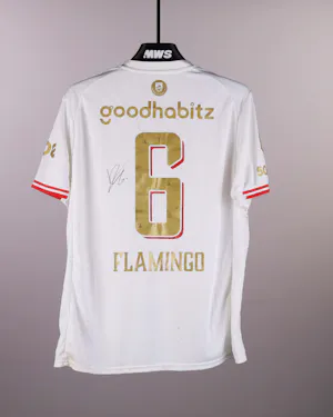 Ryan Flamingo
