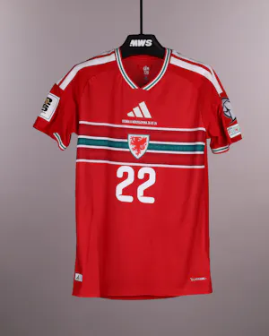 Camiseta Josh Sheehan Wales