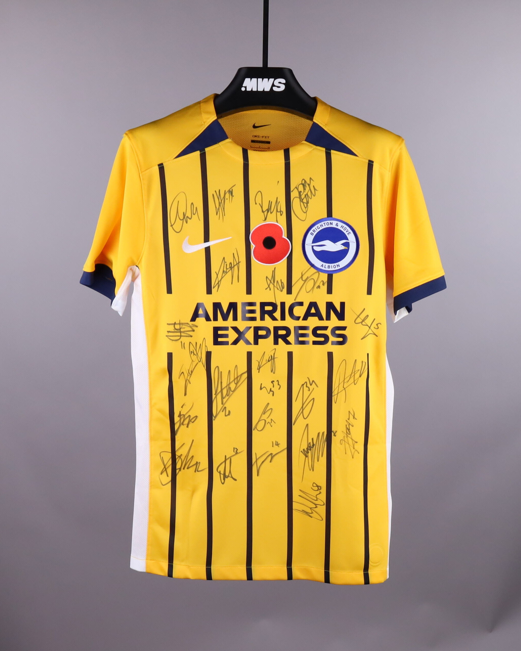 Squad Signed Shirt | Brighton & Hove Albion | MWS
