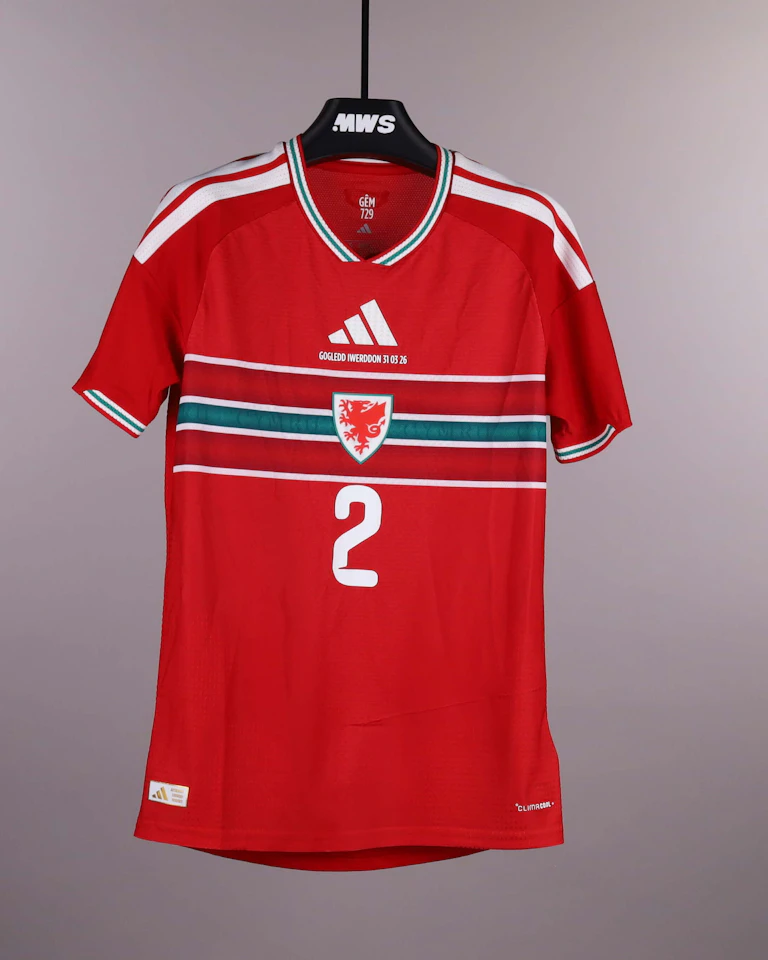 Shirt van Jay Dasilva Wales